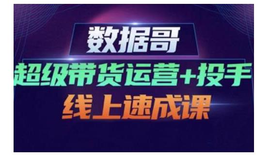 数据哥·超级带货运营+投手线上速成课，快速提升运营和熟悉学会投手技巧-韬哥副业项目资源网