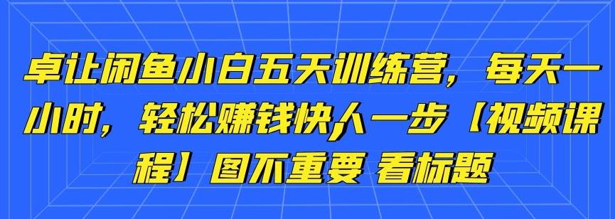 卓让闲鱼小白五天训练营，每天一小时，轻松赚钱快人一步【视频课程】-韬哥副业项目资源网