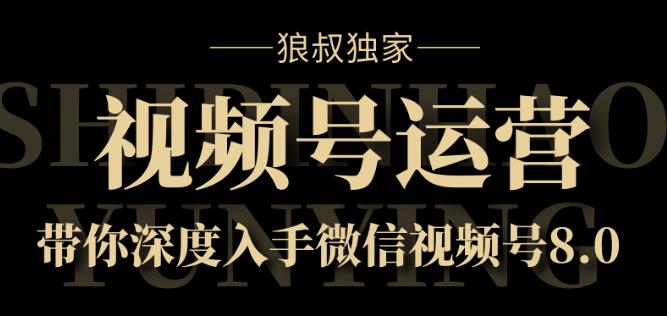 狼叔独家：视频号运营实战课8.0，带你深度入手微信视频号-韬哥副业项目资源网