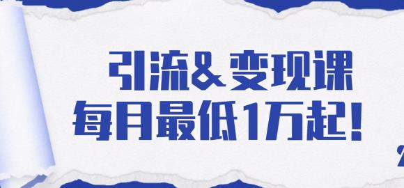 引流变现课：分享一整套流量方法以及各个渠道收入，每月最低1万起！-韬哥副业项目资源网