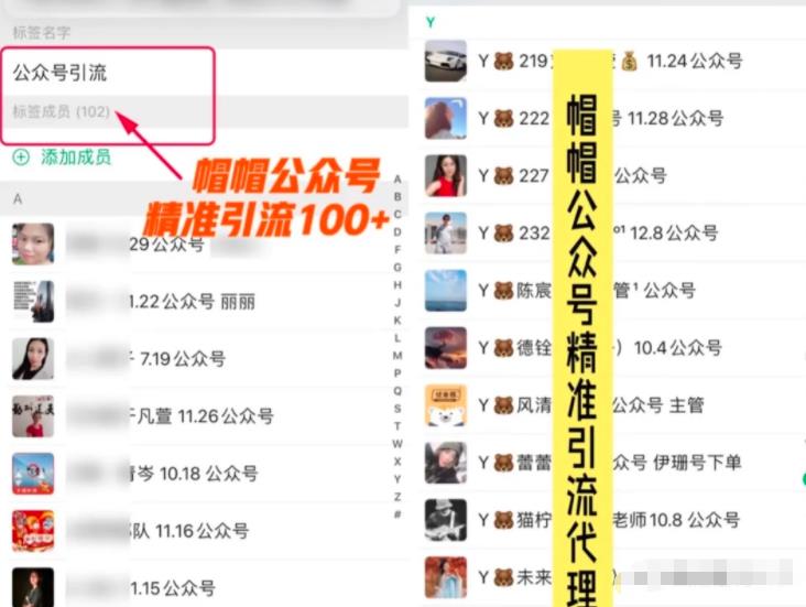 7天玩转微信公众号被动引流系统，日引100+精准流量【视频课程】-韬哥副业项目资源网