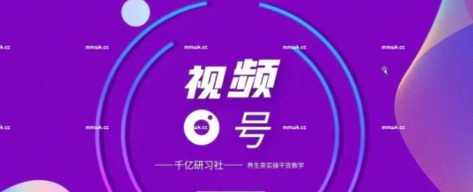 视频号带货实战教程：手把手教你撸养生茶，轻松月入10W+【视频课程】-韬哥副业项目资源网