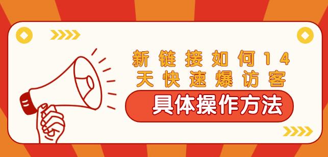 齐论·进阶战术课：拼多多新链接如何14天快速爆访客：具体操作方法（视频教程）-韬哥副业项目资源网