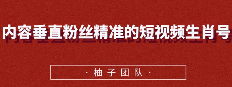 内容垂直粉丝精准的短视频生肖号，小众领域简单操作月入10000+【视频课程】-韬哥副业项目资源网