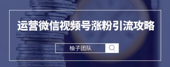 手把手教你运营微信视频号涨粉引流攻略，轻松涨粉10W+【视频课程】-韬哥副业项目资源网