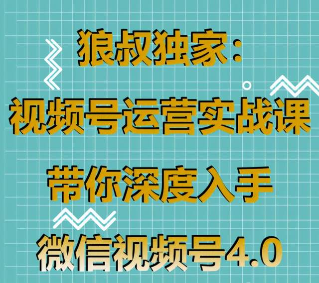 狼叔独家：视频号运营实战课，带你深度入手微信视频号4.0-韬哥副业项目资源网