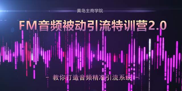 黄岛主FM音频引流特训营2.0：独家引流模式，单账号50W+播放量，轻松变现-韬哥副业项目资源网