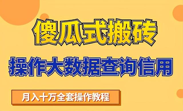 搬砖操作大数据查询信用项目赚钱教程，祝你快速月入6万-韬哥副业项目资源网