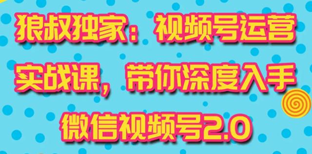 狼叔视频号运营实战课2.0，目前市面上最新最全玩法，快速吸粉吸金（10节视频）-韬哥副业项目资源网