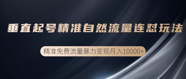 抖音垂直起号精准自然流量连怼玩法，实现精准免费流量变现操作【视频课程】-韬哥副业项目资源网