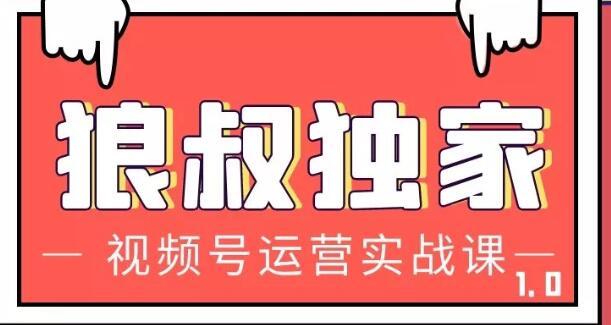 狼叔视频号运营实战课，带你深度入手微信视频号1.0，从0粉丝开始快速涨粉变现-韬哥副业项目资源网