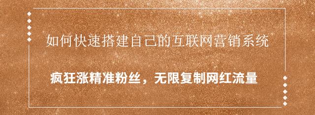 如何快速搭建自己的互联网营销系统，疯狂涨精准粉丝，无限复制网红流量-韬哥副业项目资源网