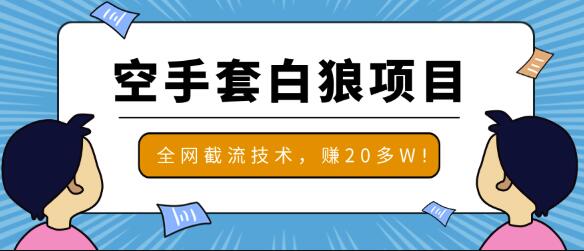 2020最新空手套白狼项目，全网批量截流技术，一个月实战成功赚20多W+-韬哥副业项目资源网