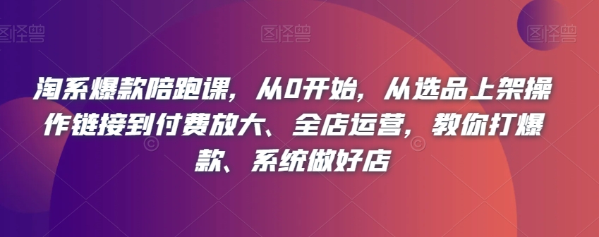 淘系爆款陪跑课，从0开始，从选品上架操作链接到付费放大、全店运营，教你打爆款、系统做好店-韬哥副业项目资源网