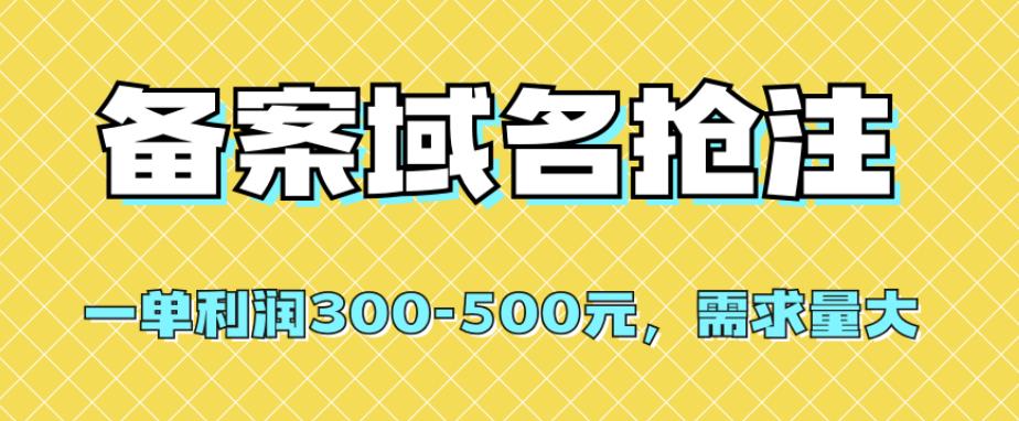 【全网首发】备案域名抢注，一单利润300-500元，需求量大-韬哥副业项目资源网