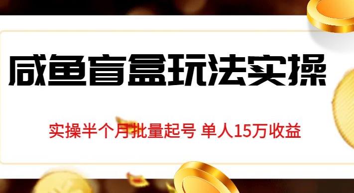 独家首发咸鱼盲盒玩法实操，半个月批量起号单人15万收益【揭秘】-韬哥副业项目资源网