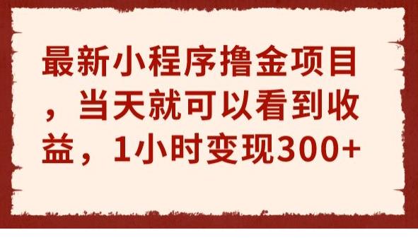 最新小程序撸金项目，当天就可以看到收益，1小时变现300+【揭秘】-韬哥副业项目资源网