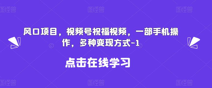 新风口项目，视频号祝福视频，一部手机操作，多种变现方式【揭秘】-韬哥副业项目资源网