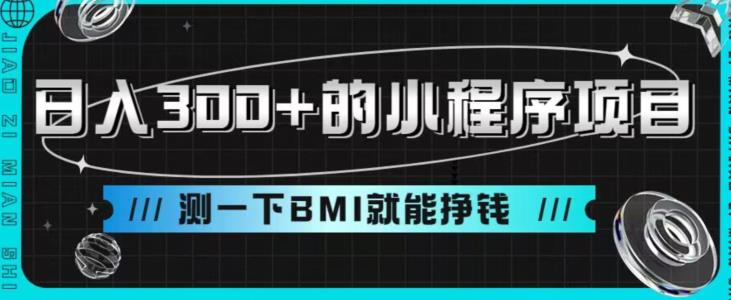 日入300+的小程序项目，测一下BMI就能挣钱【揭秘】-韬哥副业项目资源网