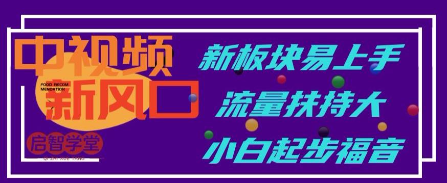 中视频新风口，新板块易上手，流量扶持大，小白起步福音【揭秘】-韬哥副业项目资源网