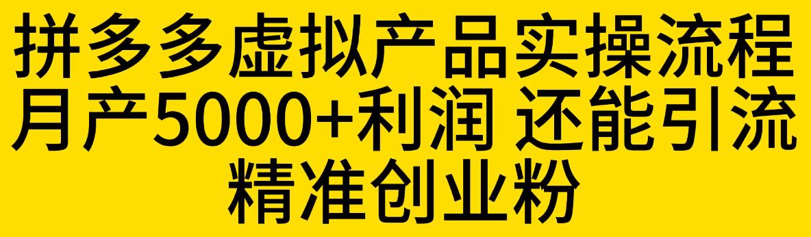 拼多多虚拟产品实操流程，月产5000+利润，还能引流精准创业粉【揭秘】-韬哥副业项目资源网