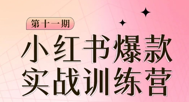 小红书博主爆款训练营第11期，手把手教你从0-1做小红书，从定位到起号到变现-韬哥副业项目资源网