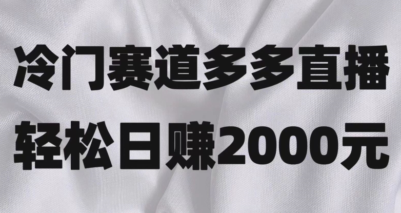 冷门赛道拼多多直播，简单念稿子，日收益2000＋【揭秘】-韬哥副业项目资源网