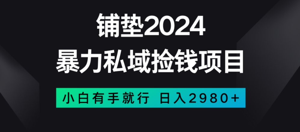 暴力私域捡钱项目，小白无脑操作，日入2980【揭秘】-韬哥副业项目资源网