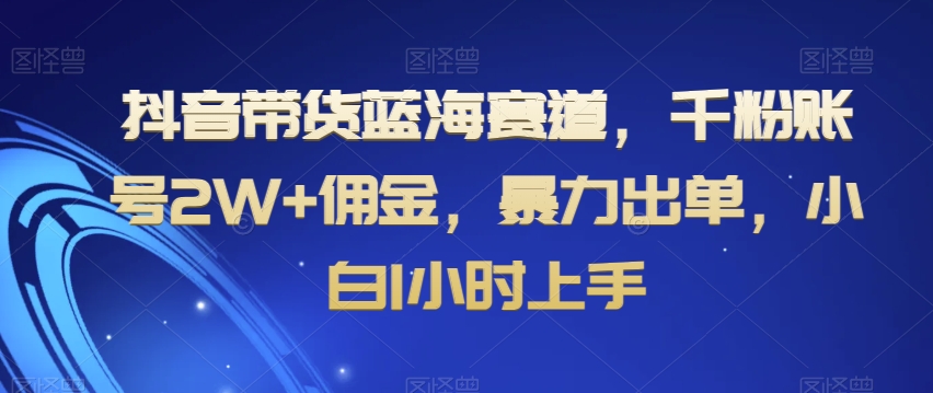 抖音带货蓝海赛道，千粉账号2W+佣金，暴力出单，小白1小时上手【揭秘】-韬哥副业项目资源网