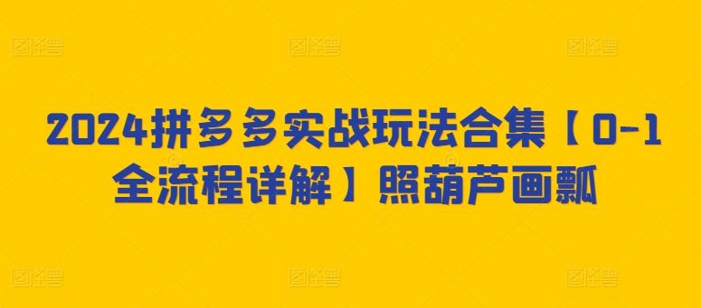 2024拼多多实战玩法合集【0-1全流程详解】照葫芦画瓢-韬哥副业项目资源网