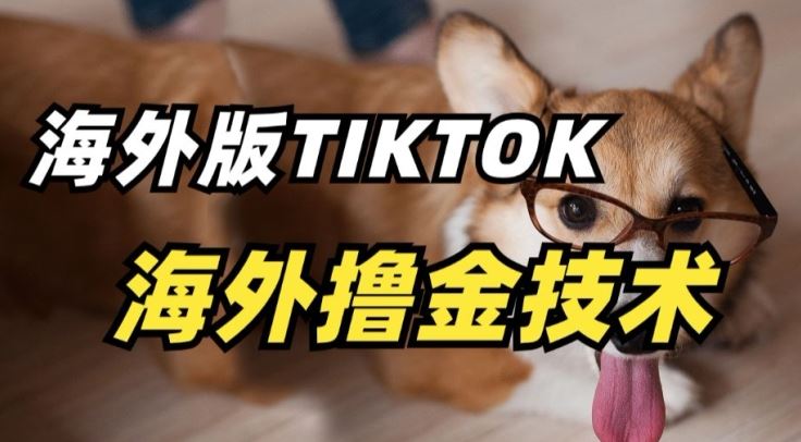 抖音海外版tiktok撸金技术，这个风口行业，赚钱真的不难【揭秘】-韬哥副业项目资源网