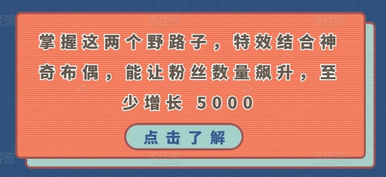 掌握这两个野路子，特效结合神奇布偶，能让粉丝数量飙升，至少增长 5000【揭秘】-韬哥副业项目资源网