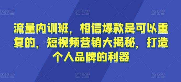 流量内训班，相信爆款是可以重复的，短视频营销大揭秘，打造个人品牌的利器-韬哥副业项目资源网