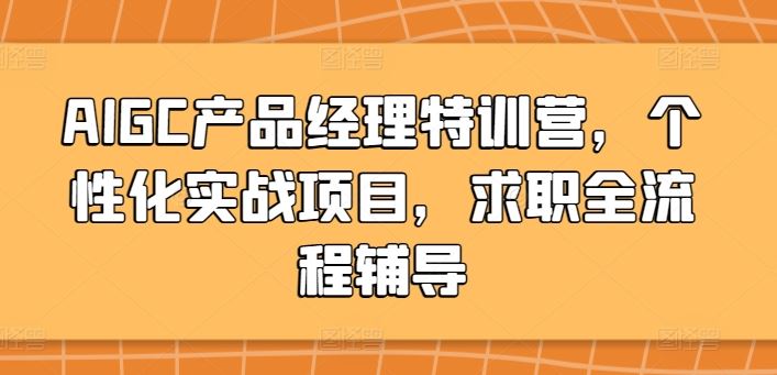 AIGC产品经理特训营，个性化实战项目，求职全流程辅导-韬哥副业项目资源网