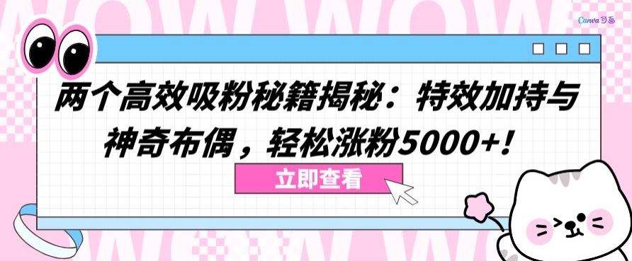 两个高效吸粉秘籍揭秘：特效加持与神奇布偶，轻松涨粉5000+【揭秘】-韬哥副业项目资源网