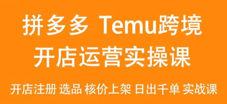 2024Temu最新玩法，Temu跨境开店运营实操课，开店注册/选品/核价上架/日出千单实战课-韬哥副业项目资源网