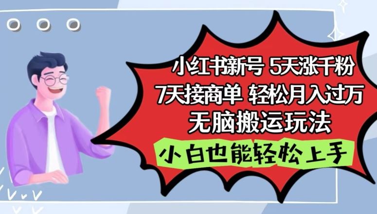 小红书影视泥巴追剧5天涨千粉，7天接商单，轻松月入过万，无脑搬运玩法【揭秘】-韬哥副业项目资源网