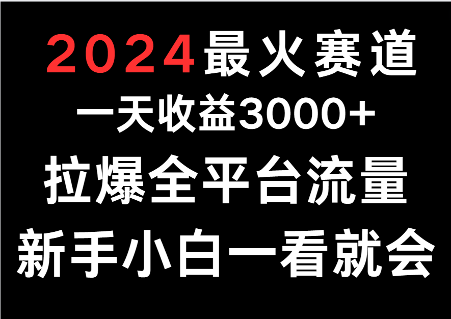 2024最火赛道，一天收一3000+.拉爆全平台流量，新手小白一看就会-韬哥副业项目资源网