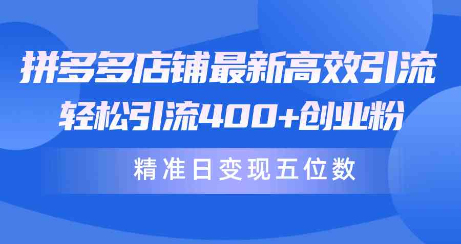 （10041期）拼多多店铺最新高效引流术，轻松引流400+创业粉，精准日变现五位数！-韬哥副业项目资源网