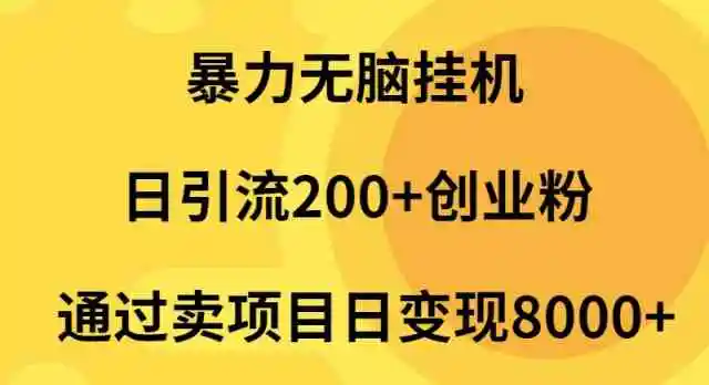 （9788期）暴力无脑挂机日引流200+创业粉通过卖项目日变现2000+-韬哥副业项目资源网