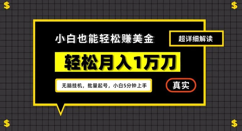 谷歌看广告撸美金2.0，无脑挂机，多号操作，月入1万刀【揭秘】-韬哥副业项目资源网