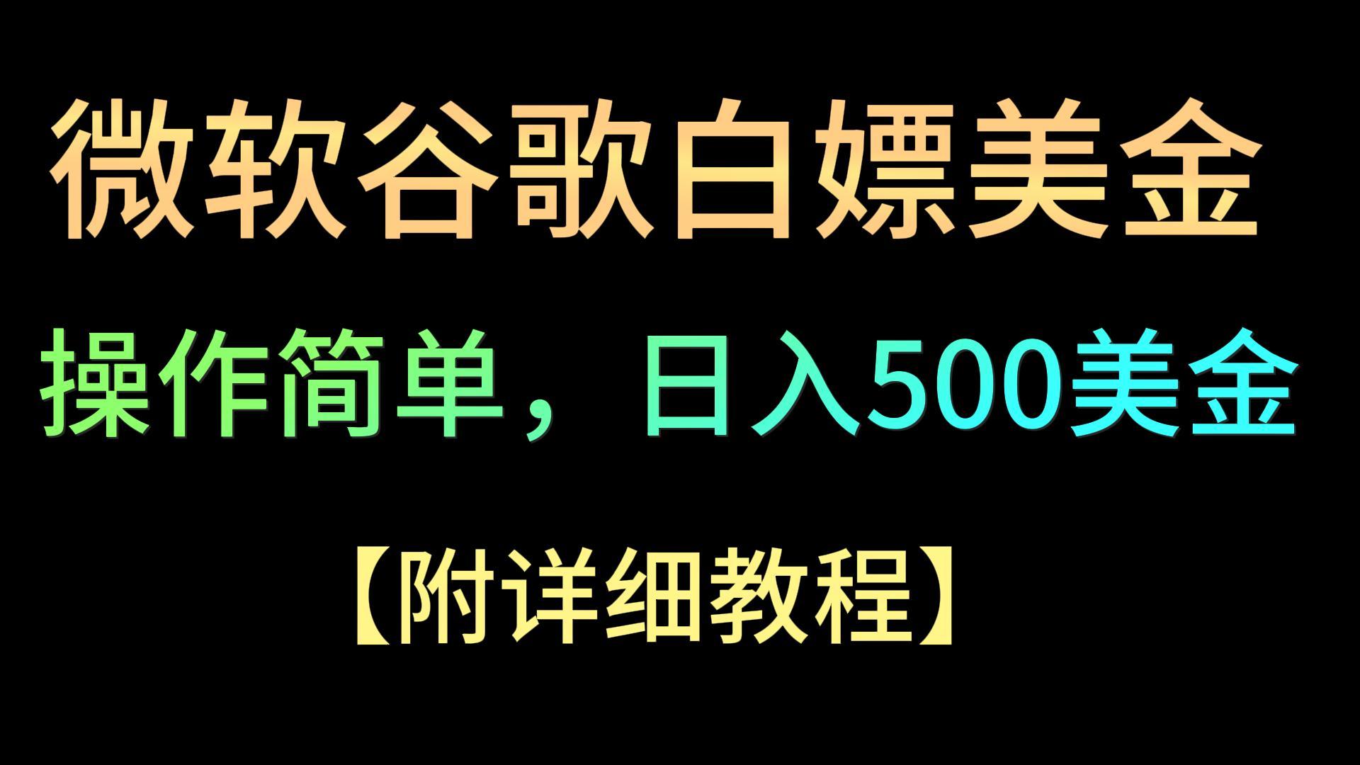 微软谷歌项目3.0，轻松日赚500+美金，操作简单，小白也可轻松入手！-韬哥副业项目资源网