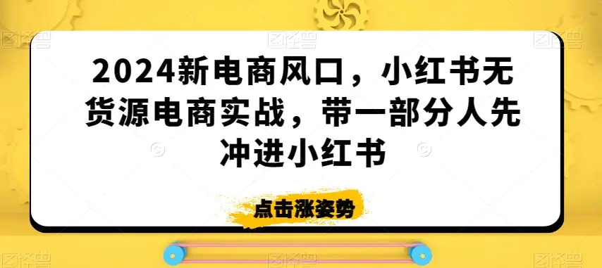 2024新电商风口，小红书无货源电商实战，带一部分人先冲进小红书-韬哥副业项目资源网