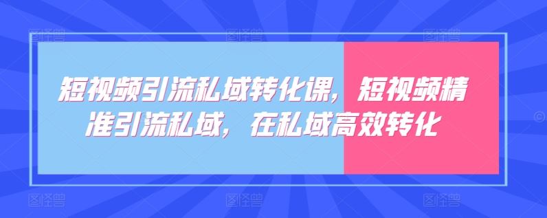 短视频引流私域转化课，短视频精准引流私域，在私域高效转化-韬哥副业项目资源网