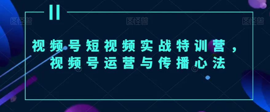 视频号短视频实战特训营，视频号运营与传播心法-韬哥副业项目资源网