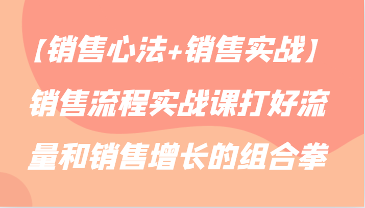 【销售心法+销售实战】销售流程实战课打好流量和销售增长的组合拳-韬哥副业项目资源网