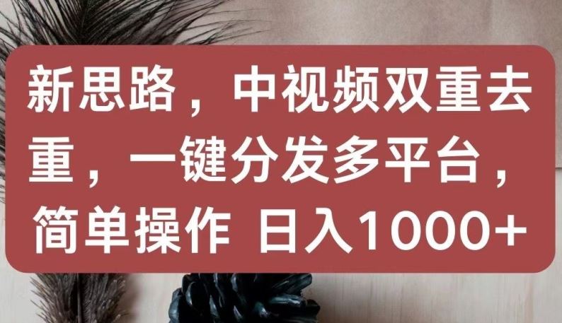 新思路，中视频双重去重，一键分发多平台，简单操作，日入1000+【揭秘】-韬哥副业项目资源网