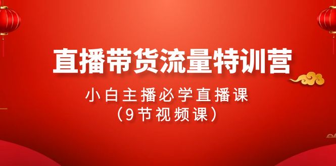 2024直播带货流量特训营，小白主播必学直播课（9节视频课）-韬哥副业项目资源网