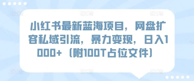 小红书最新蓝海项目，网盘扩容私域引流，暴力变现，日入1000+（附100T占位文件）【揭秘】-韬哥副业项目资源网