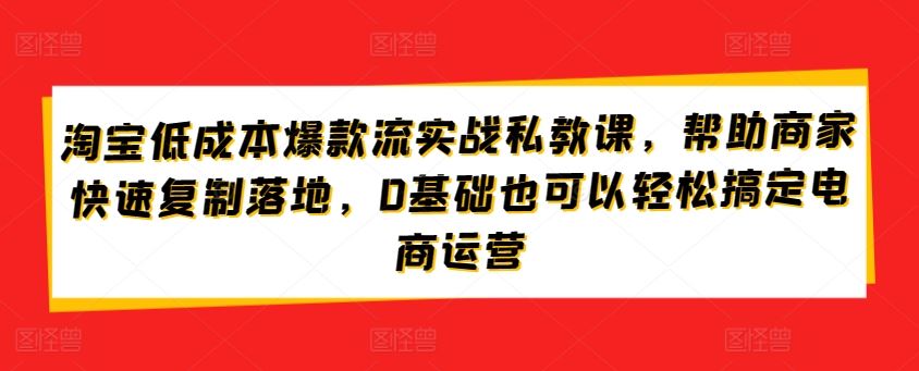 淘宝低成本爆款流实战私教课，帮助商家快速复制落地，0基础也可以轻松搞定电商运营-韬哥副业项目资源网